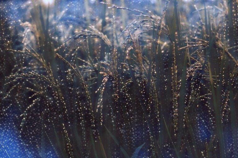 Cultivo de arroz con efectos digitales de luz que representan la digitalización y el monitoreo tecnológico en la agricultura de precisión