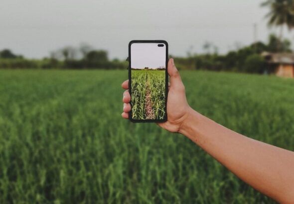 Persona tomando foto de un campo con smartphone, representando la relación entre el agro y las nuevas tecnologías