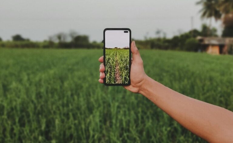 Persona tomando foto de un campo con smartphone, representando la relación entre el agro y las nuevas tecnologías